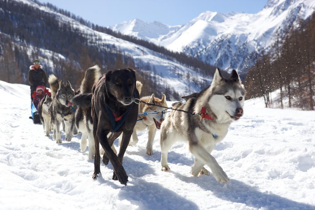 Le Chalet Viso Arvieux Kültér fotó